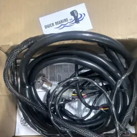 0176339 Evinrude/johnson/brp 176339 / Mws Ignition Wiring Kit 12 Ft