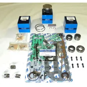100-120-12-z8 Rareelectrical .020 Over 3.207 Inch Powerhead Rebuild Kit Fits Johnson/evinrude By 100-120-12