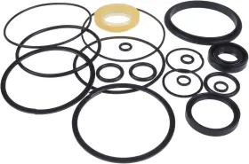 830860m92 Tcindrr 830860 Power Steering Cylinder Seal Kit Compatible With Massey Ferguson