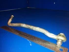 19609A6 Steering For Link Rod Mercury Mariner 40HP Used. Price: $26.05.
