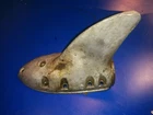 302526 Skeg Vv For 375769 Housing Gearcase RD-14 Big Twin 25HP Johnson Evinrude Used. Price: $69.00.