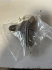 Oem Omc Steering Kit 0380442 New. Price: $19.99.