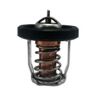 Fit For Suzuki DF2.5 DF4 DF6 Thermostat 60 R.O:17670-91J01 5033385 New. Price: $23.99.