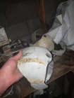 Volvo Penta Helmet 852864 Used. Price: $35.00.